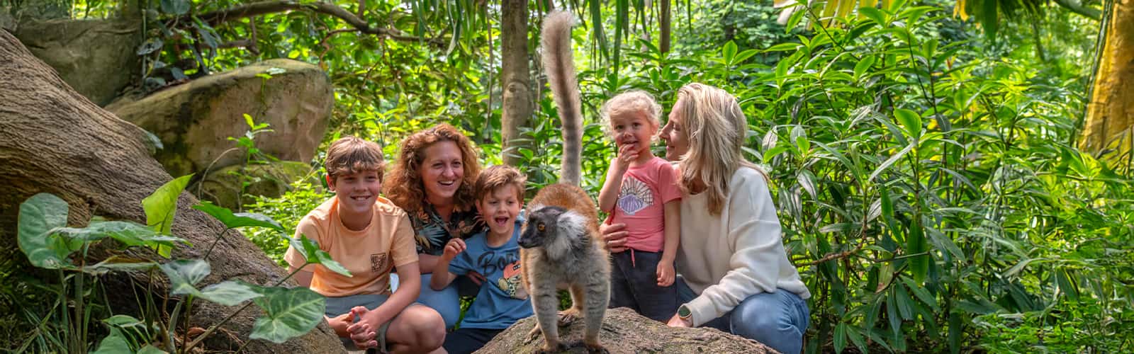 Emmen Zoo – Billets + Séjour à l'Hôtel Inclus