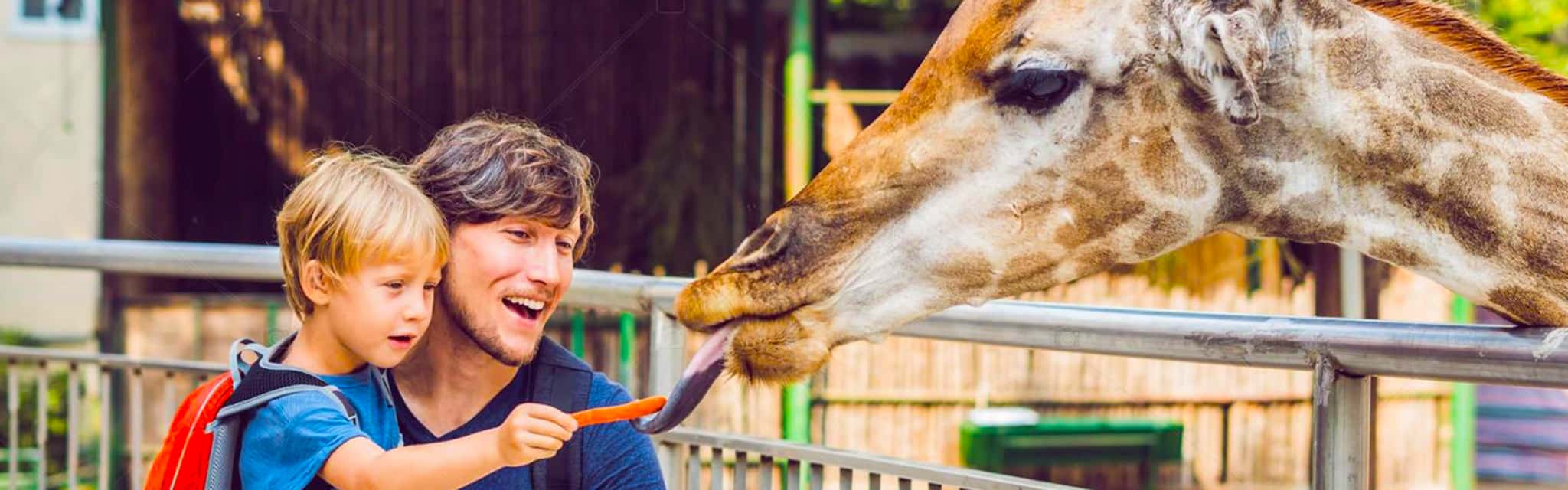 Séjour à Leipzig avec billet d'entrée au zoo