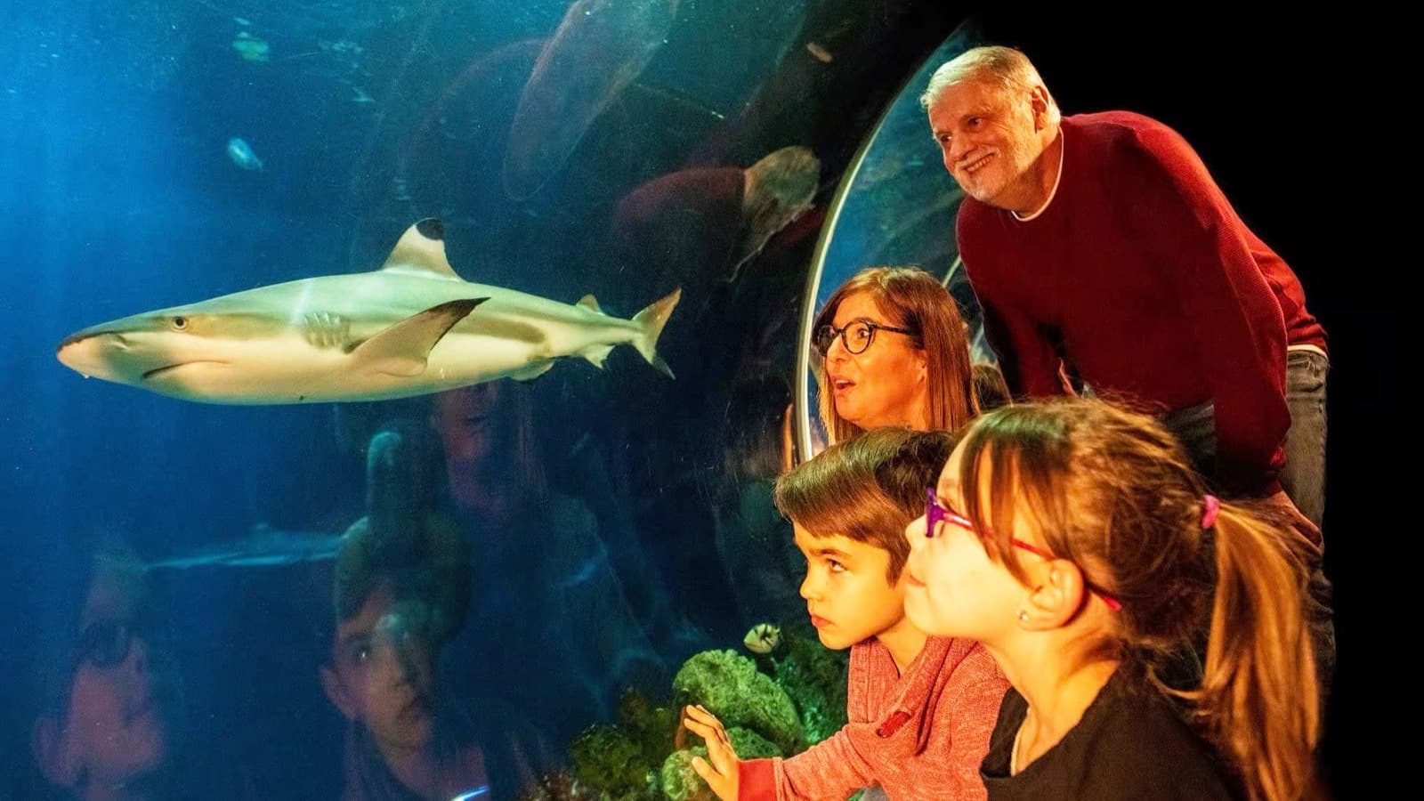 Oberhausen avec SEA LIFE Aquarium incl. Hôtel foto 3