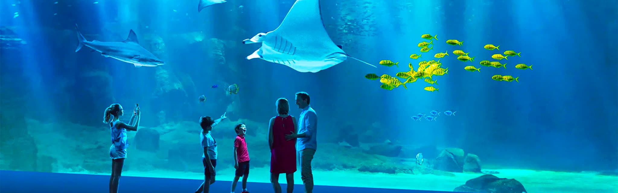 Boulogne-sur-Mer inclusief Nausicaá Aquarium Ticket