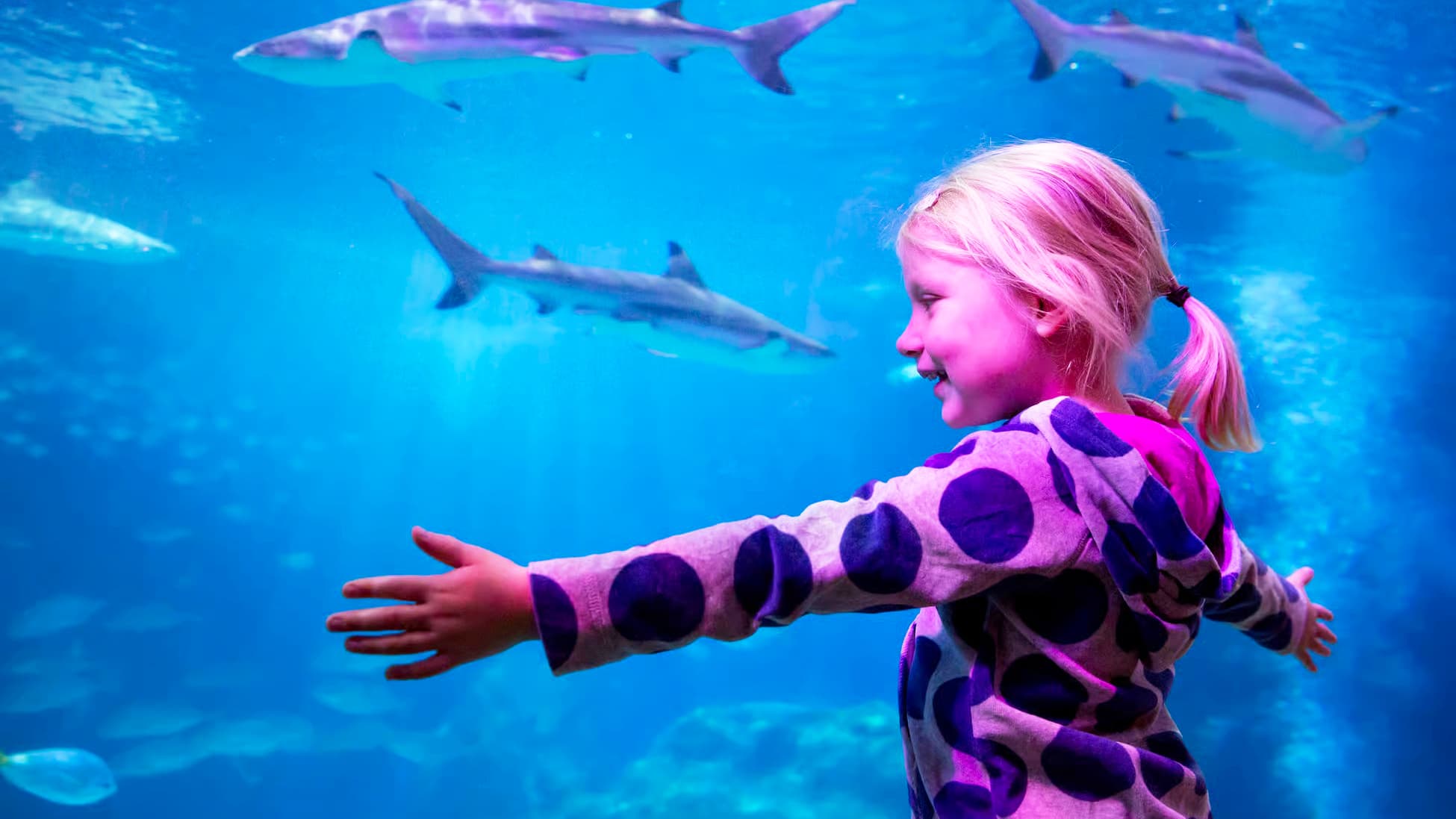 Oberhausen avec SEA LIFE Aquarium incl. Hôtel