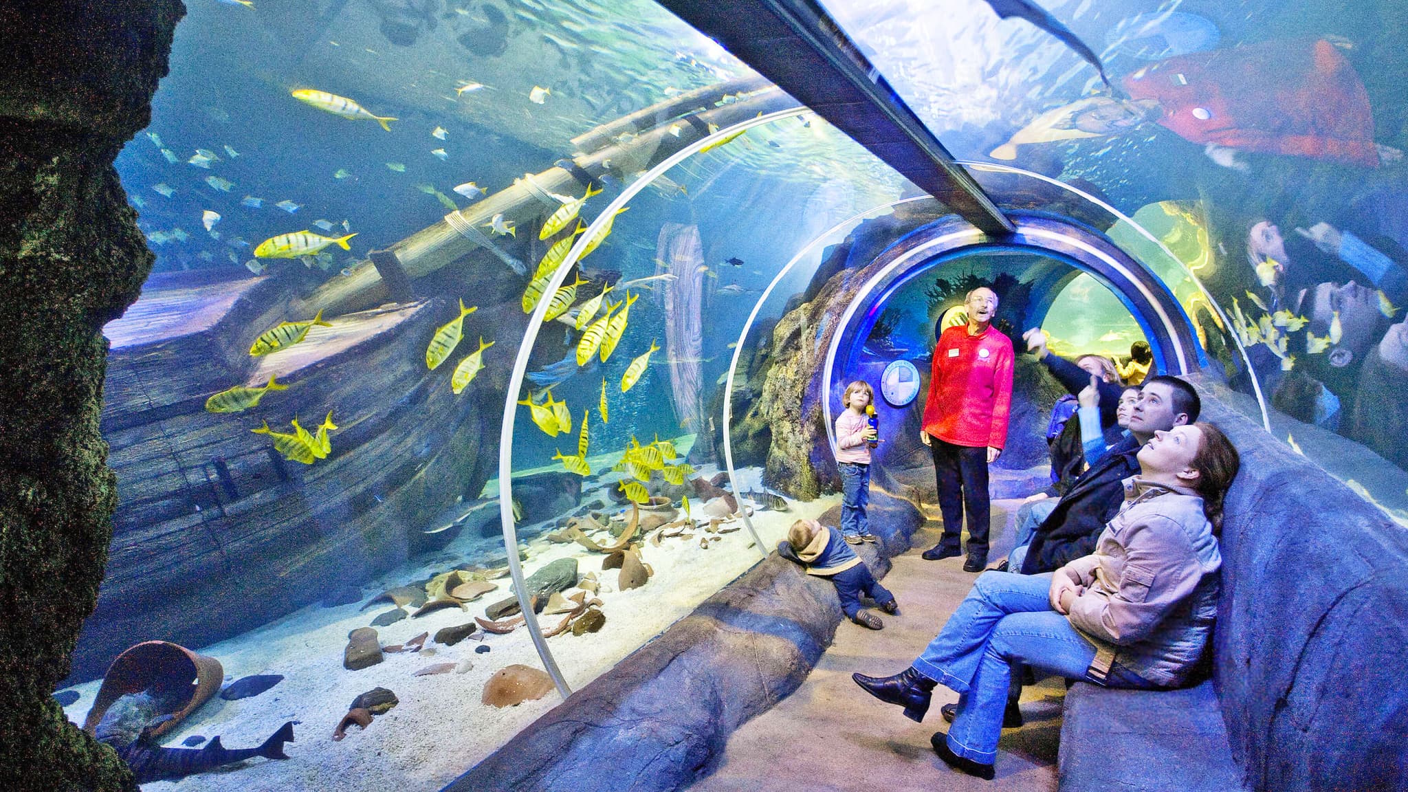 Oberhausen avec SEA LIFE Aquarium incl. Hôtel foto 3